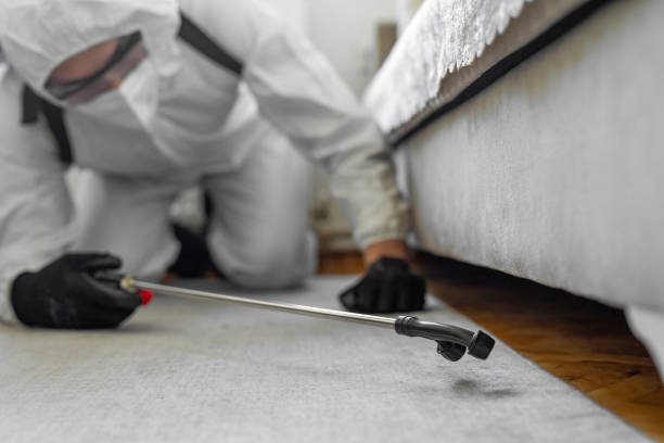 Professional Bed Bug Control technician working in Franklin County County, IL